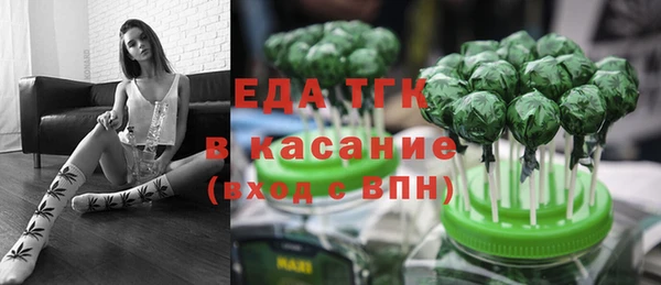 гидра Каменка