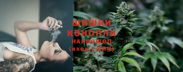 гидра Каменка