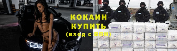 гидра Каменка