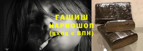 гидра Каменка