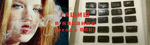 гидра Каменка