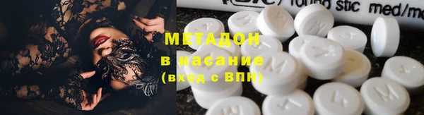 гидра Каменка