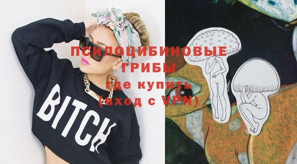 гидра Каменка