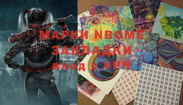 гидра Каменка