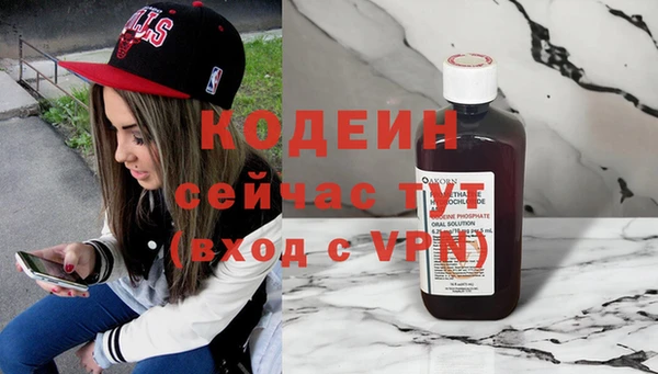 гидра Каменка