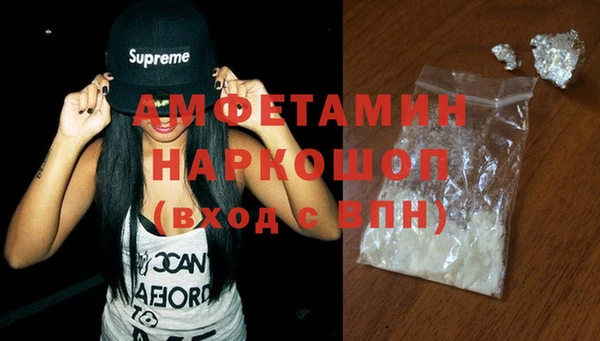 гидра Каменка