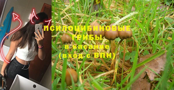 ALPHA-PVP Каменногорск