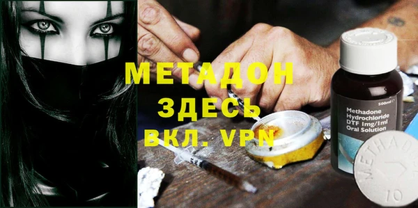 гидра Каменка