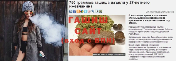 гидра Каменка