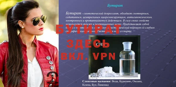гидра Каменка